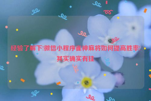 经验了解下!微信小程序雀神麻将如何提高胜率!其实确实有挂