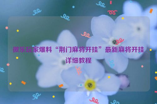 微乐玩家爆料“荆门麻将开挂”最新麻将开挂详细教程