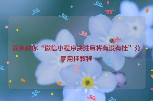 我来教你“微信小程序决胜麻将有没有挂”分享用挂教程