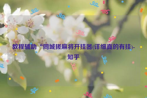 教程辅助“同城搓麻将开挂器(详细真的有挂)-知乎
