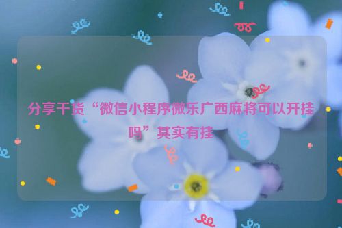 分享干货“微信小程序微乐广西麻将可以开挂吗”其实有挂