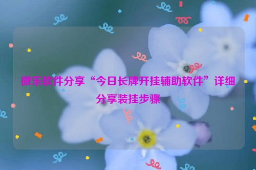 微乐软件分享“今日长牌开挂辅助软件”详细分享装挂步骤