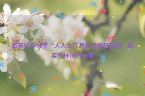 微乐软件分享“人人大厅怎么透视开挂的”真实开挂技巧分享