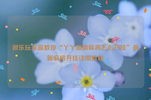 微乐玩家赢教你“丫丫湖南麻将怎么开挂”最新麻将开挂详细教程