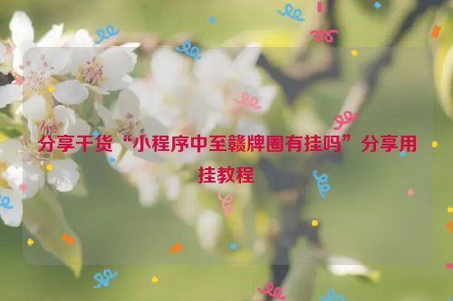 分享干货“小程序中至赣牌圈有挂吗”分享用挂教程