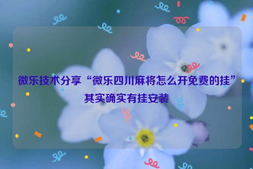 微乐技术分享“微乐四川麻将怎么开免费的挂”其实确实有挂安装