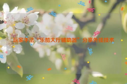 玩家手法“乐酷大厅辅助器”分享外挂技术