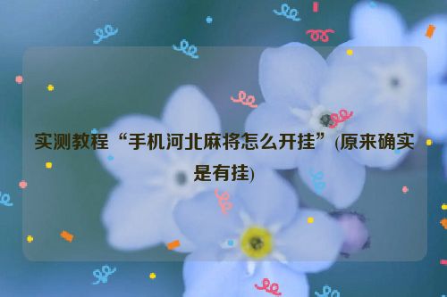 实测教程“手机河北麻将怎么开挂”(原来确实是有挂)