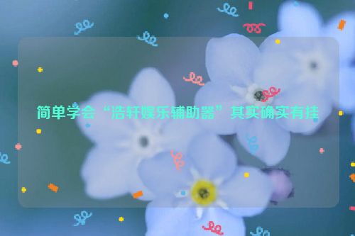 简单学会“浩轩娱乐辅助器”其实确实有挂