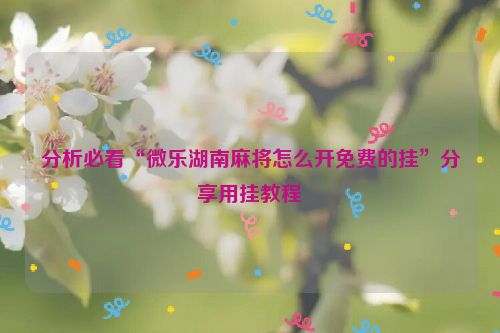 分析必看“微乐湖南麻将怎么开免费的挂”分享用挂教程