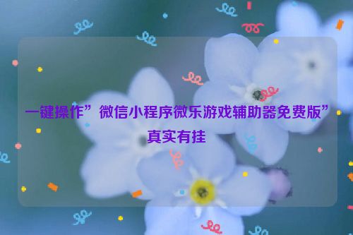 一键操作”微信小程序微乐游戏辅助器免费版”真实有挂