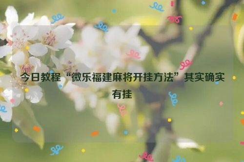 今日教程“微乐福建麻将开挂方法”其实确实有挂