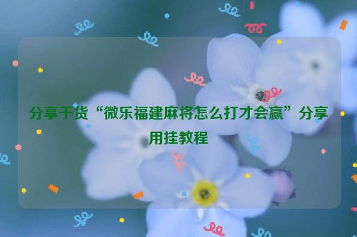分享干货“微乐福建麻将怎么打才会赢”分享用挂教程
