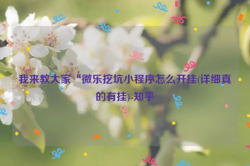 我来教大家“微乐挖坑小程序怎么开挂(详细真的有挂)-知乎