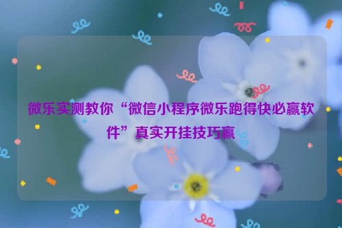 微乐实测教你“微信小程序微乐跑得快必赢软件”真实开挂技巧赢