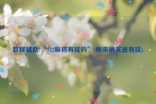 教程辅助!“912麻将有挂码”(原来确实是有挂)