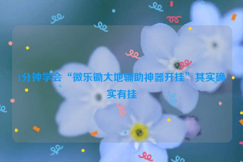 1分钟学会“微乐锄大地辅助神器开挂”其实确实有挂