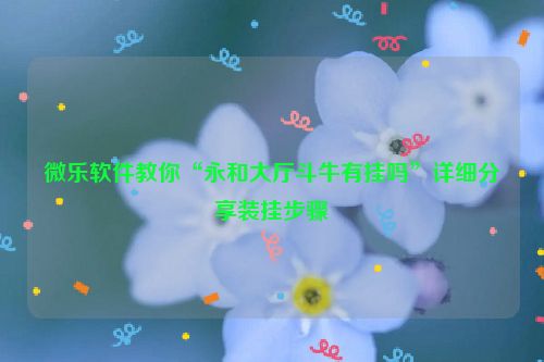 微乐软件教你“永和大厅斗牛有挂吗”详细分享装挂步骤