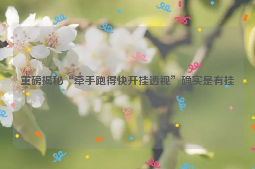 重磅揭秘“牵手跑得快开挂透视”确实是有挂