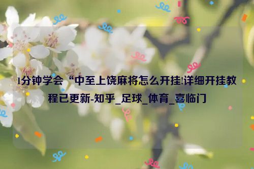 1分钟学会“中至上饶麻将怎么开挂!详细开挂教程已更新-知乎_足球_体育_喜临门