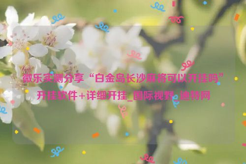 微乐实测分享“白金岛长沙麻将可以开挂吗”开挂软件+详细开挂_国际视野_迪特网