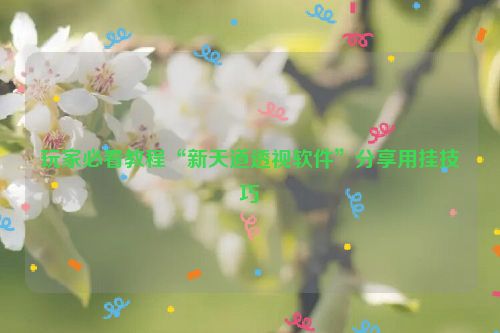 玩家必看教程“新天道透视软件”分享用挂技巧