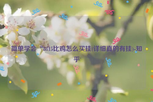 简单学会“8815比鸡怎么买挂(详细真的有挂)-知乎