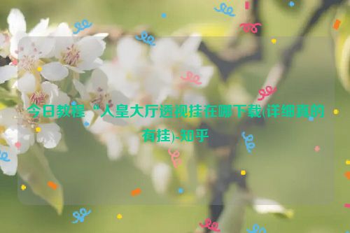 今日教程“人皇大厅透视挂在哪下载(详细真的有挂)-知乎