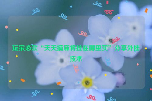 玩家必款“天天摸麻将挂在哪里买”分享外挂技术