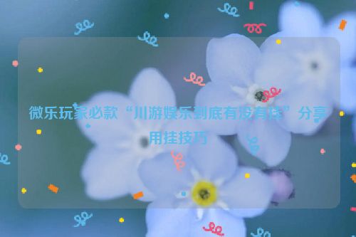 微乐玩家必款“川游娱乐到底有没有挂”分享用挂技巧