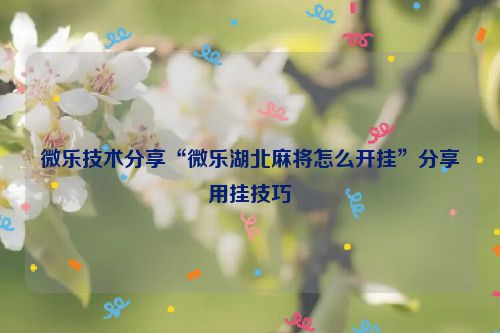 微乐技术分享“微乐湖北麻将怎么开挂”分享用挂技巧