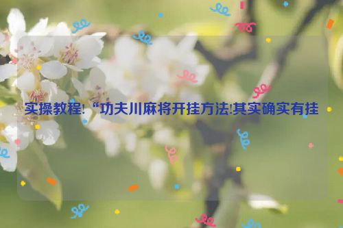 实操教程!“功夫川麻将开挂方法!其实确实有挂