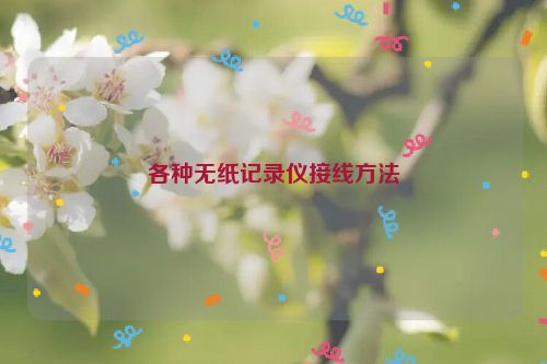 各种无纸记录仪接线方法
