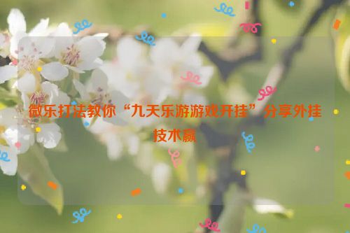 微乐打法教你“九天乐游游戏开挂”分享外挂技术赢