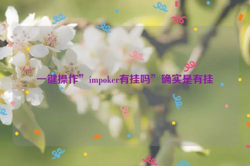 一键操作”impoker有挂吗”确实是有挂