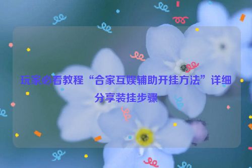 玩家必看教程“合家互娱辅助开挂方法”详细分享装挂步骤