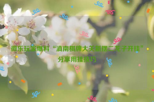 微乐玩家爆料“滇南棋牌大关新摆二龙子开挂”分享用挂技巧