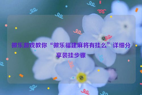 微乐游戏教你“微乐福建麻将有挂么”详细分享装挂步骤