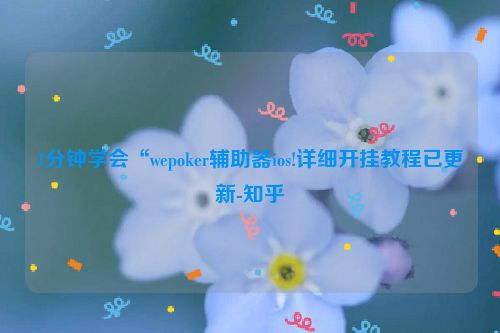 1分钟学会“wepoker辅助器ios!详细开挂教程已更新-知乎