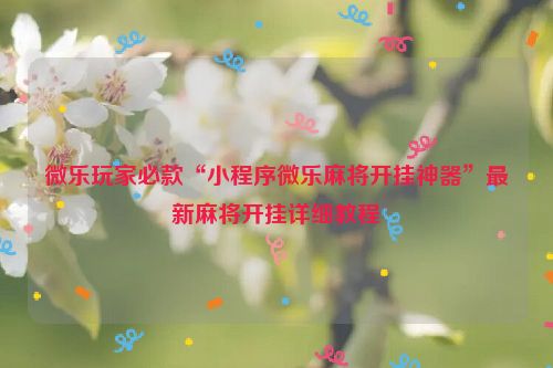 微乐玩家必款“小程序微乐麻将开挂神器”最新麻将开挂详细教程
