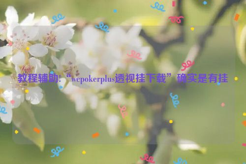 教程辅助!“wepokerplus透视挂下载”确实是有挂