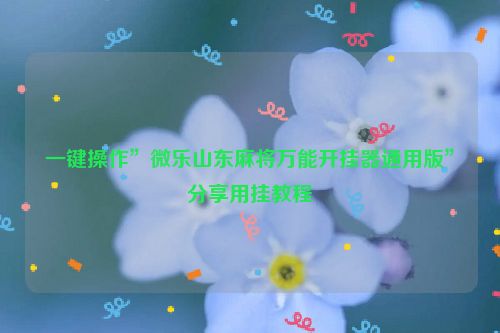 一键操作”微乐山东麻将万能开挂器通用版”分享用挂教程