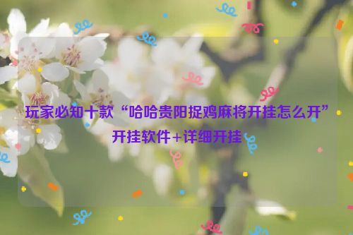 玩家必知十款“哈哈贵阳捉鸡麻将开挂怎么开”开挂软件+详细开挂