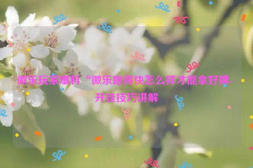 微乐玩家爆料“微乐跑得快怎么样才能拿好牌- 开挂技巧讲解