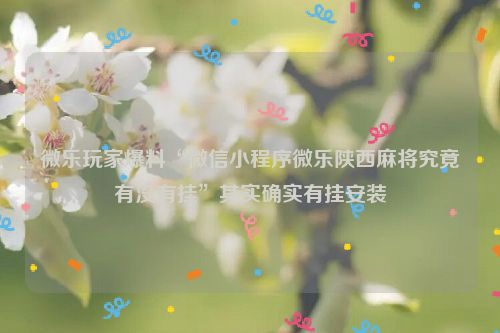 微乐玩家爆料“微信小程序微乐陕西麻将究竟有没有挂”其实确实有挂安装
