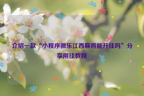 介绍一款“小程序微乐江西麻将能开挂吗”分享用挂教程