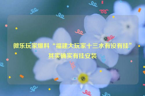 微乐玩家爆料“福建大玩家十三水有没有挂”其实确实有挂安装