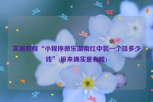 实测教程“小程序微乐湖南红中装一个挂多少钱”(原来确实是有挂)