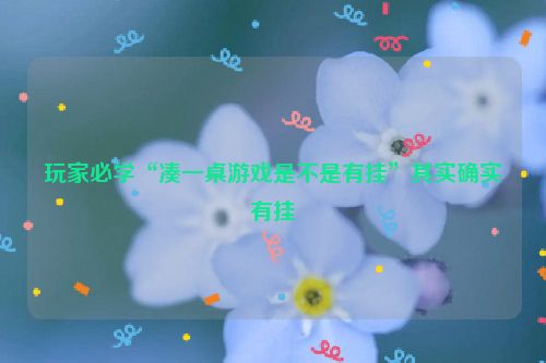 玩家必学“凑一桌游戏是不是有挂”其实确实有挂