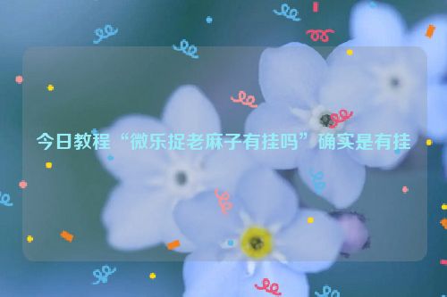 今日教程“微乐捉老麻子有挂吗”确实是有挂